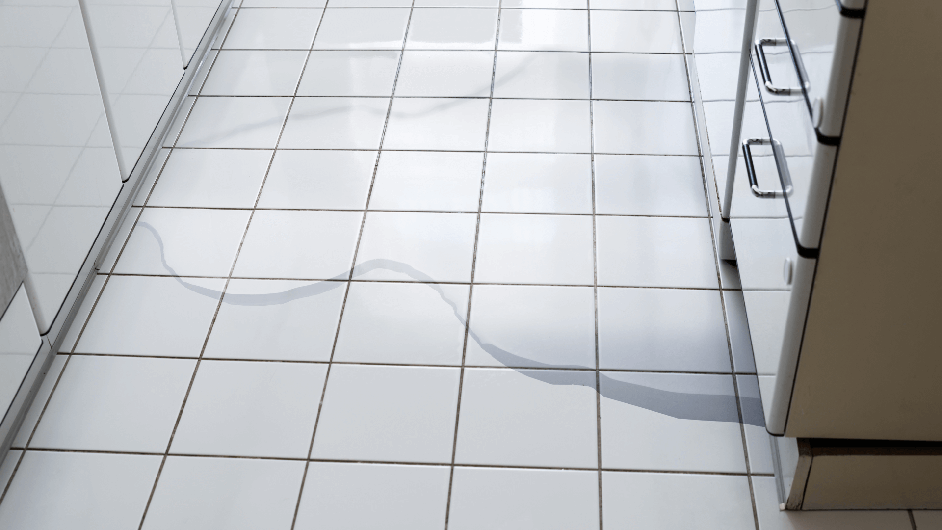 Dishwasher Leaks Water