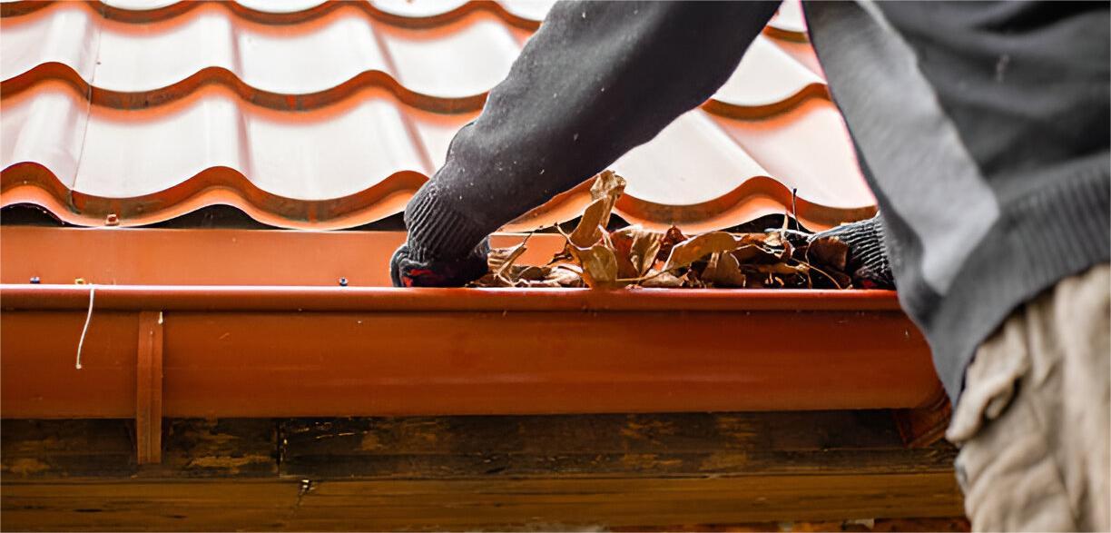 gutter cleaning
